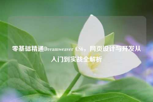 零基础精通Dreamweaver CS6，网页设计与开发从入门到实战全解析