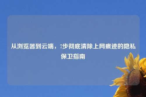 从浏览器到云端，7步彻底清除上网痕迹的隐私保卫指南