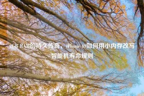 2GB RAM的持久传奇，iPhone 6S如何用小内存改写智能机寿命规则