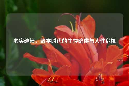 虚实缠缚，数字时代的生存陷阱与人性危机