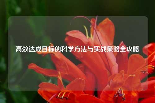 高效达成目标的科学方法与实战策略全攻略