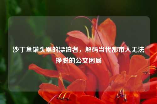 沙丁鱼罐头里的漂泊者，解码当代都市人无法挣脱的公交困局