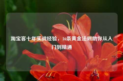 淘宝客十年实战经验，16条黄金法则助你从入门到精通