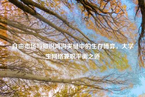 自由市场与知识鸿沟夹缝中的生存博弈，大学生网络兼职平衡之道