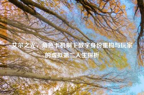 艾尔之光，角色卡机制下数字身份重构与玩家的虚拟第二人生探析