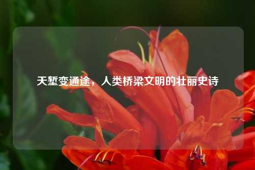 天堑变通途，人类桥梁文明的壮丽史诗
