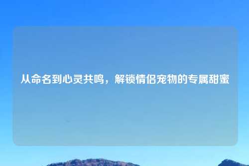 从命名到心灵共鸣，解锁情侣宠物的专属甜蜜
