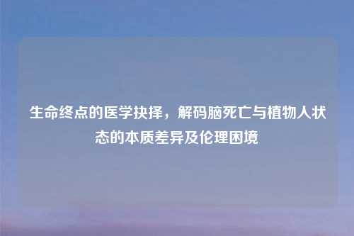 生命终点的医学抉择，解码脑死亡与植物人状态的本质差异及伦理困境