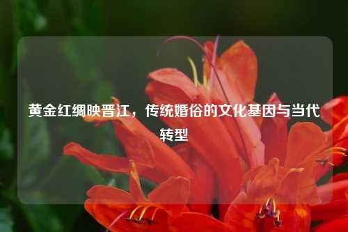 黄金红绸映晋江，传统婚俗的文化基因与当代转型