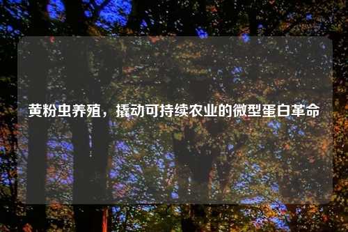 黄粉虫养殖，撬动可持续农业的微型蛋白革命