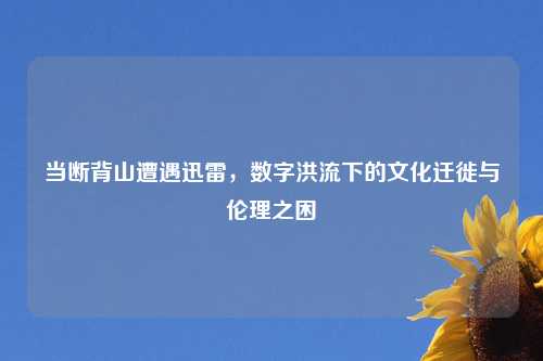 当断背山遭遇迅雷，数字洪流下的文化迁徙与伦理之困