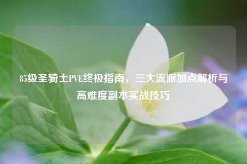 85级圣骑士PVE终极指南，三大流派加点解析与高难度副本实战技巧