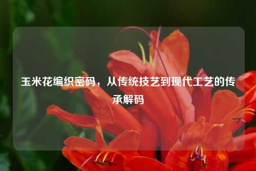 玉米花编织密码，从传统技艺到现代工艺的传承解码