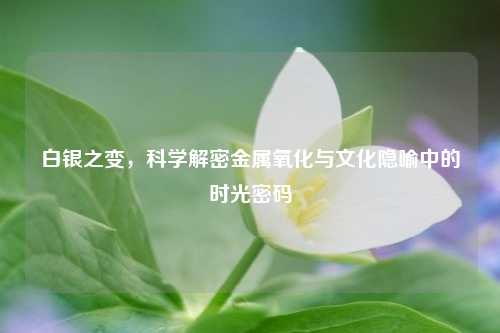 白银之变，科学解密金属氧化与文化隐喻中的时光密码