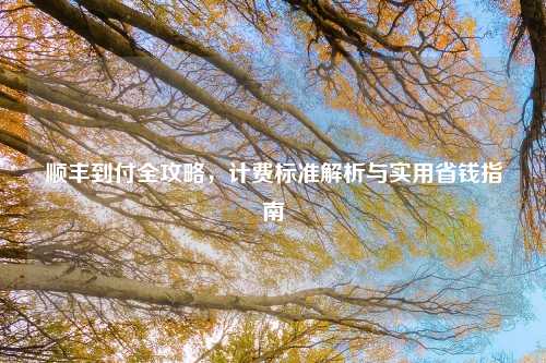 顺丰到付全攻略，计费标准解析与实用省钱指南