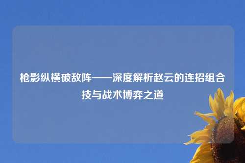 枪影纵横破敌阵——深度解析赵云的连招组合技与战术博弈之道
