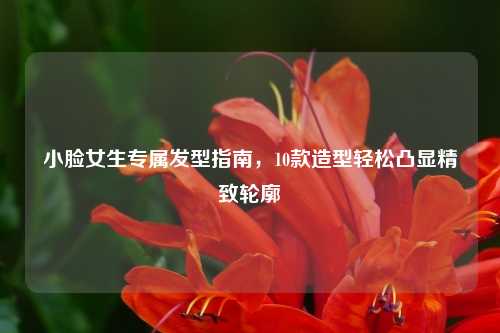 小脸女生专属发型指南，10款造型轻松凸显精致轮廓