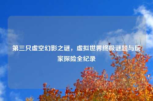 第三只虚空幻影之谜，虚拟世界终极谜题与玩家探险全纪录