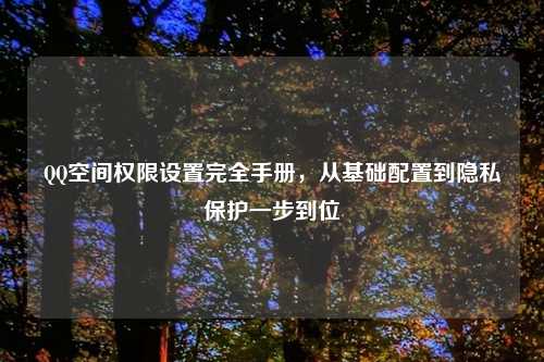 QQ空间权限设置完全手册，从基础配置到隐私保护一步到位