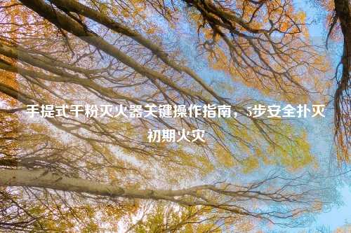 手提式干粉灭火器关键操作指南，5步安全扑灭初期火灾