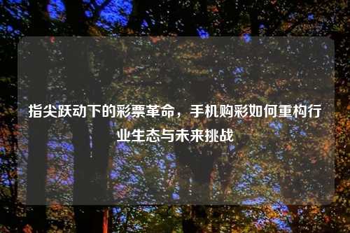 指尖跃动下的彩票革命，手机购彩如何重构行业生态与未来挑战