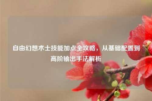 自由幻想术士技能加点全攻略，从基础配置到高阶输出手法解析
