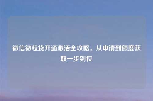 微信微粒贷开通激活全攻略，从申请到额度获取一步到位