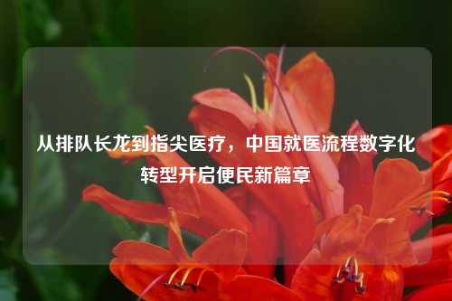 从排队长龙到指尖医疗，中国就医流程数字化转型开启便民新篇章
