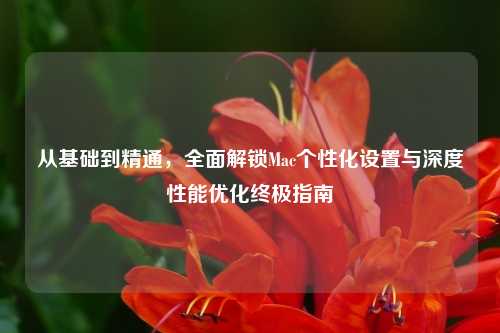 从基础到精通，全面解锁Mac个性化设置与深度性能优化终极指南