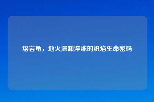 熔岩龟，地火深渊淬炼的炽焰生命密码