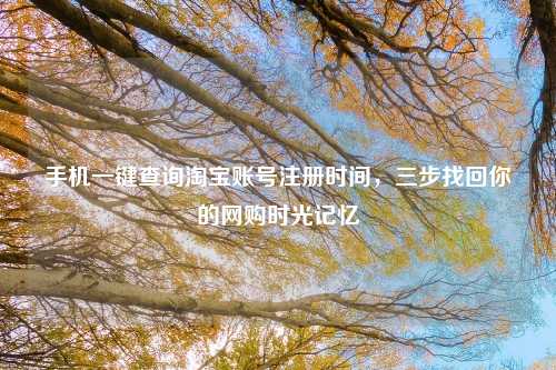 手机一键查询淘宝账号注册时间，三步找回你的网购时光记忆