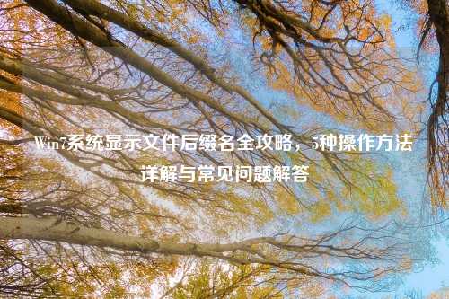 Win7系统显示文件后缀名全攻略，5种操作方法详解与常见问题解答