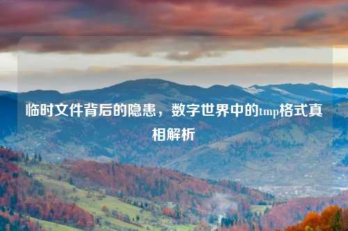 临时文件背后的隐患，数字世界中的tmp格式真相解析