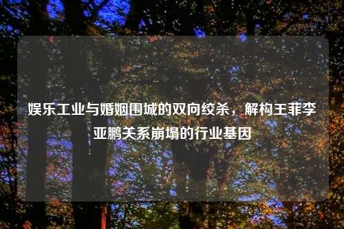 娱乐工业与婚姻围城的双向绞杀，解构王菲李亚鹏关系崩塌的行业基因