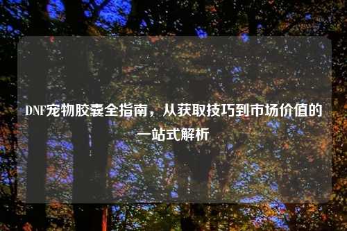 DNF宠物胶囊全指南，从获取技巧到市场价值的一站式解析