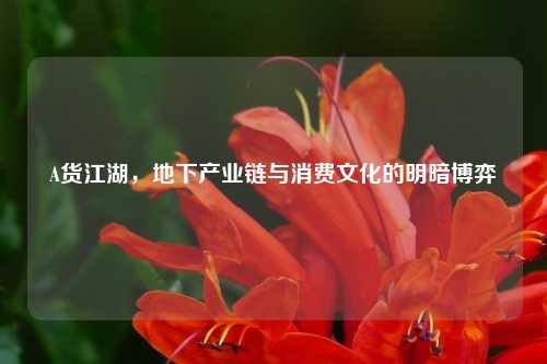 A货江湖，地下产业链与消费文化的明暗博弈