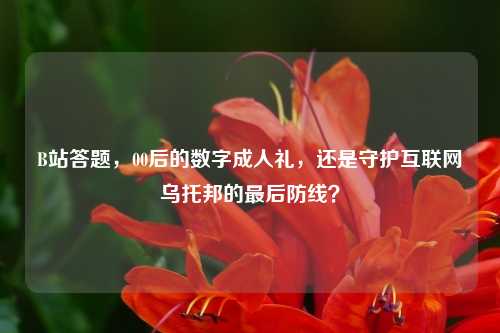 B站答题，00后的数字成人礼，还是守护互联网乌托邦的最后防线？