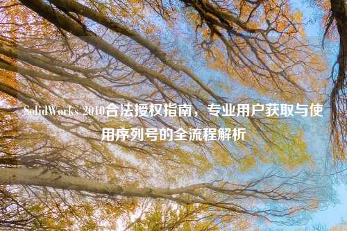 SolidWorks 2010合法授权指南，专业用户获取与使用序列号的全流程解析