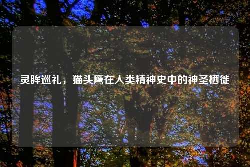 灵眸巡礼，猫头鹰在人类精神史中的神圣栖徙