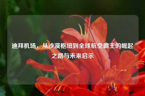 迪拜机场，从沙漠枢纽到全球航空霸主的崛起之路与未来启示