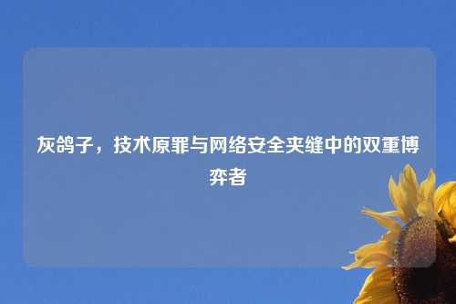 灰鸽子，技术原罪与网络安全夹缝中的双重博弈者