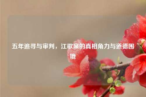 五年追寻与审判，江歌案的真相角力与道德困境