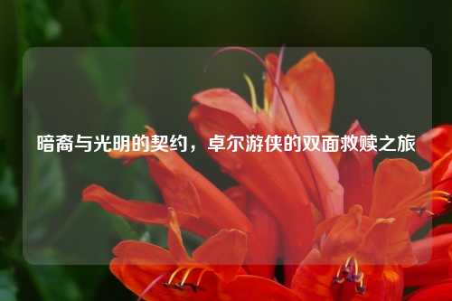 暗裔与光明的契约，卓尔游侠的双面救赎之旅