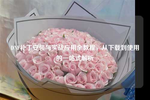 DNF补丁安装与实战应用全教程，从下载到使用的一站式解析