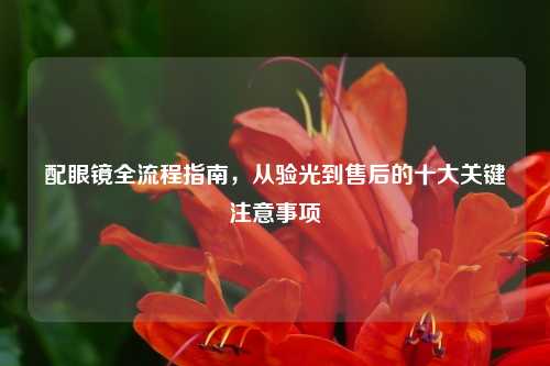 配眼镜全流程指南，从验光到售后的十大关键注意事项