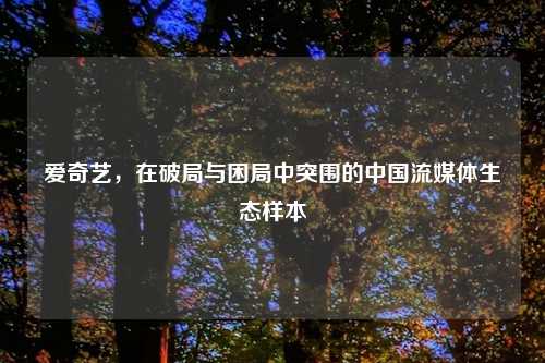 爱奇艺，在破局与困局中突围的中国流媒体生态样本