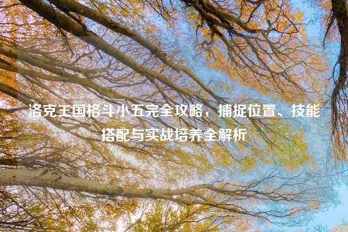 洛克王国格斗小五完全攻略，捕捉位置、技能搭配与实战培养全解析