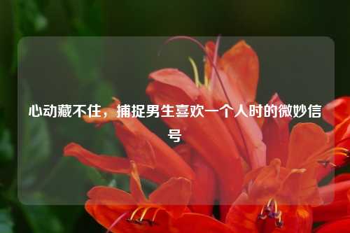 心动藏不住，捕捉男生喜欢一个人时的微妙信号