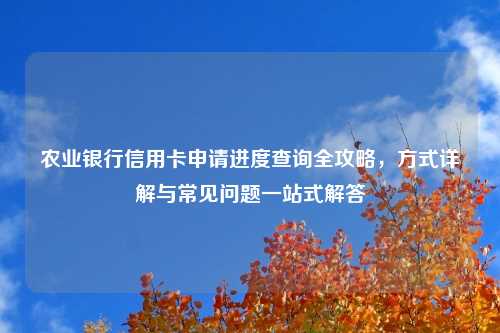 农业银行信用卡申请进度查询全攻略，方式详解与常见问题一站式解答