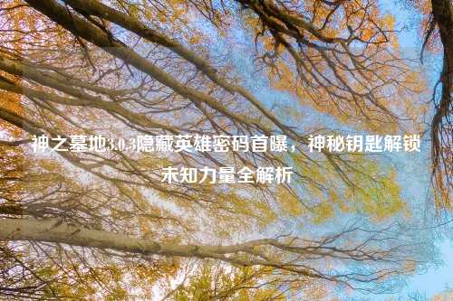 神之墓地3.0.3隐藏英雄密码首曝，神秘钥匙解锁未知力量全解析